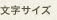 文字サイズ