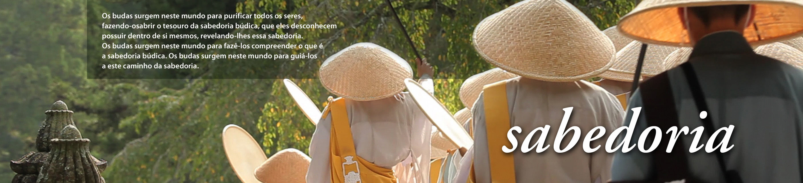 ENSINO - sabedoria